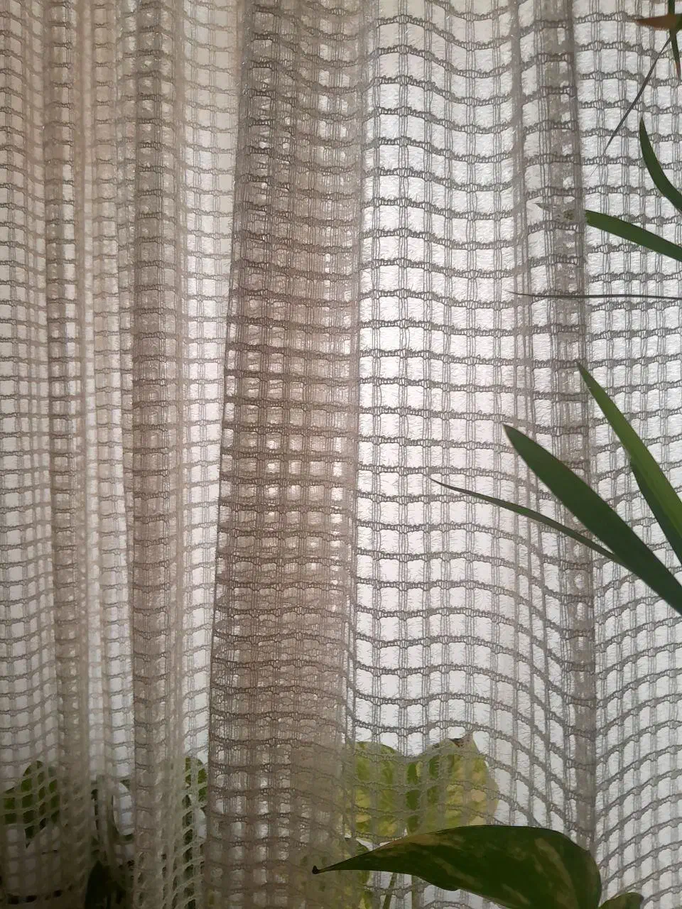 پرده فروشی|پرده، رانر، رومیزی|قوچان, |دیوار