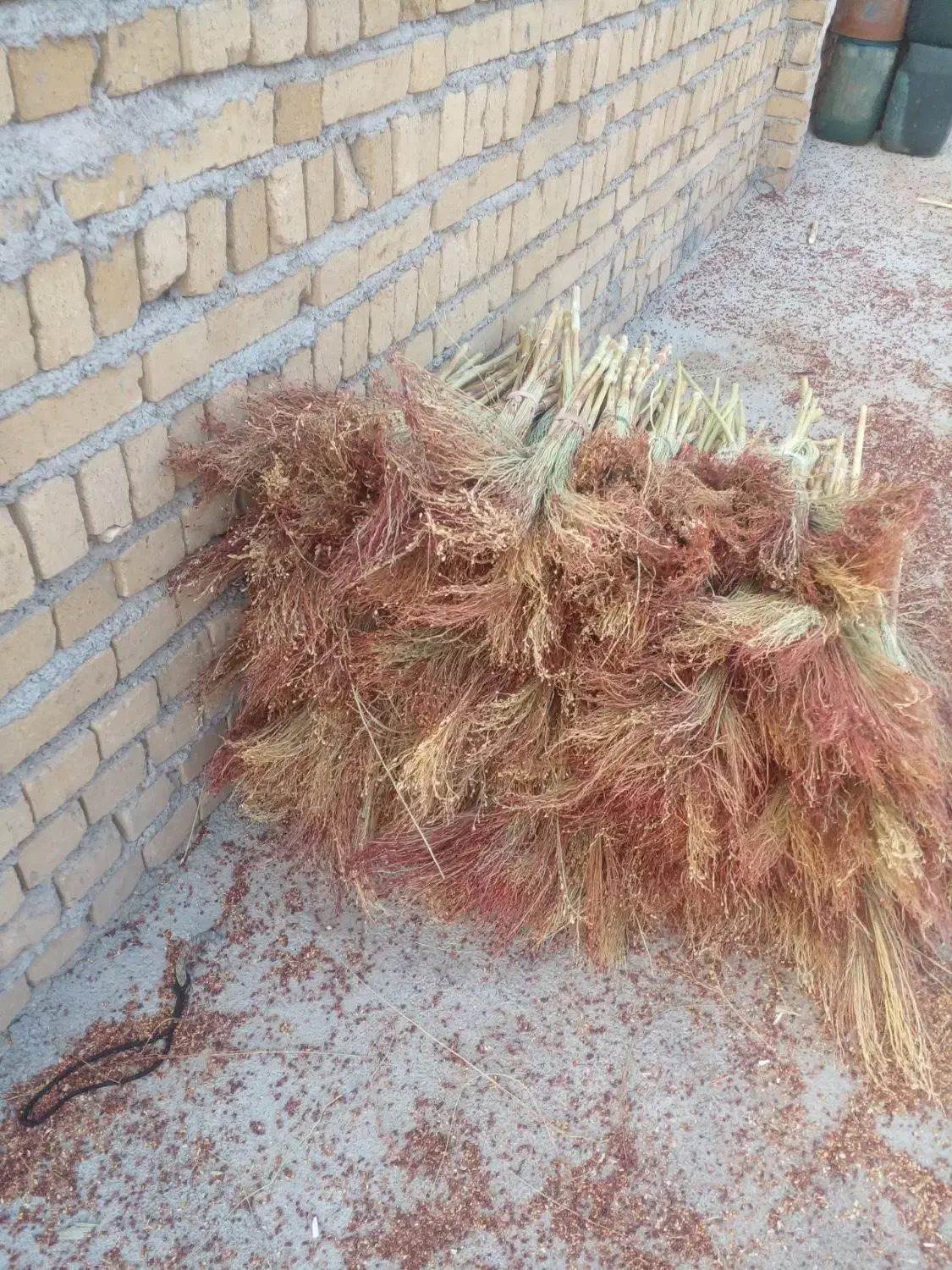 جارو دستی در الشتر|لوازم نظافت|فیروزآباد (لرستان), |دیوار