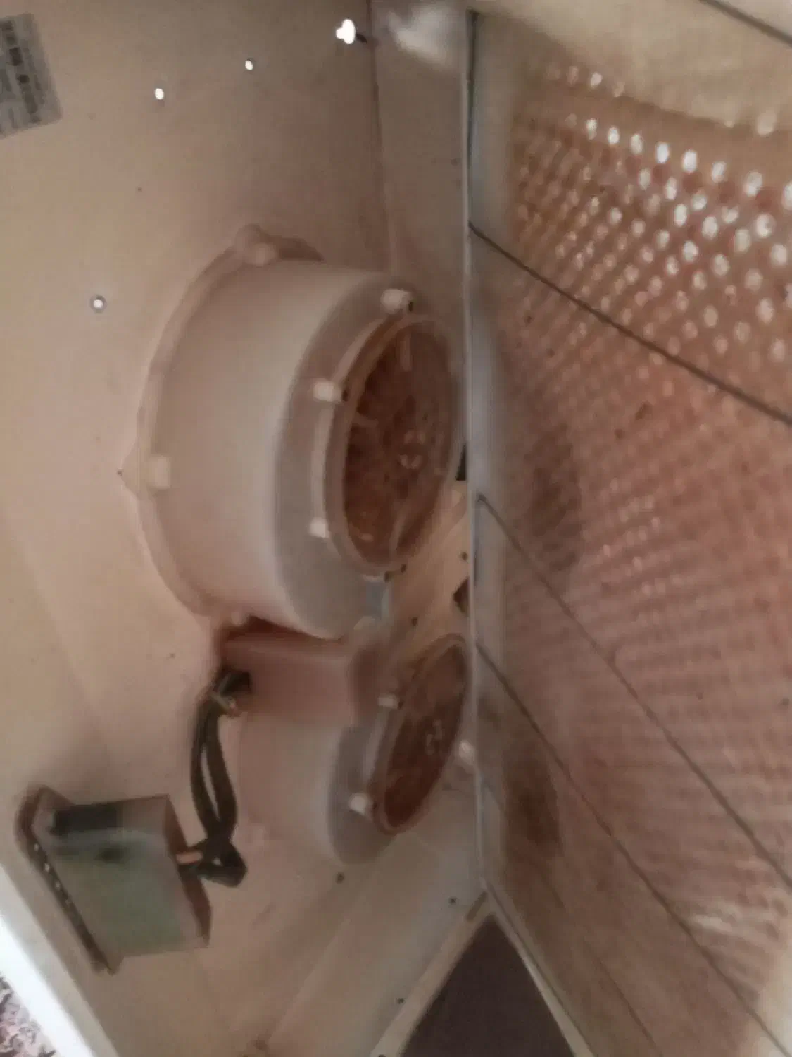 هود دوموتوره|هود|پرند, فاز ۶|دیوار