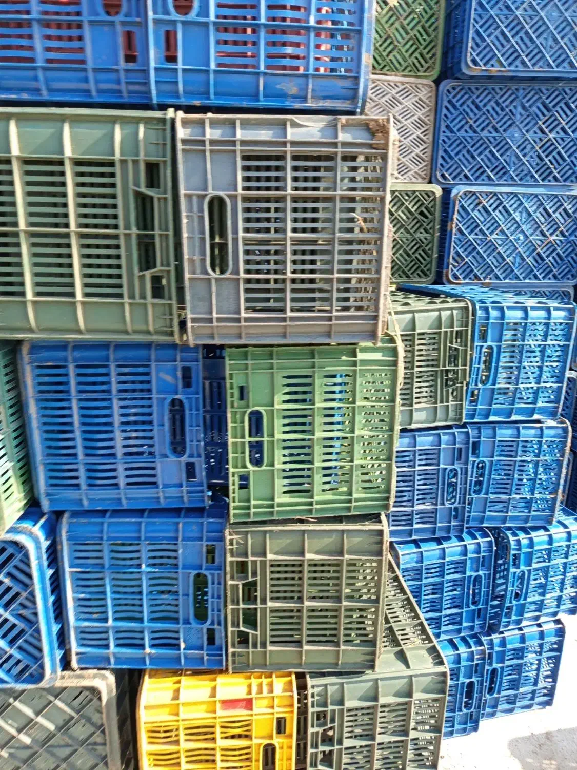 سبد پرتقال ونارنگی|حراج|ساری, |دیوار