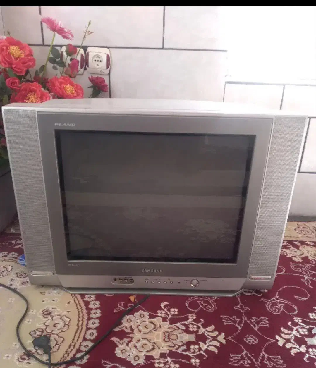 تلویزیون|تلویزیون و پروژکتور|بردسیر, |دیوار