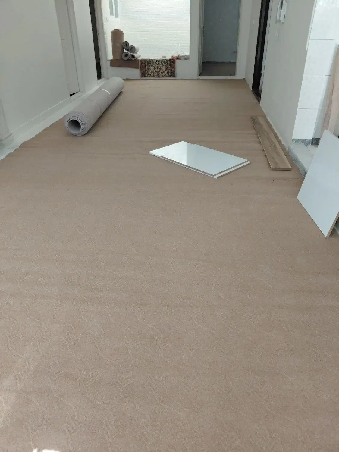 موکت شسته شده و تمیز|موکت|بهار, |دیوار