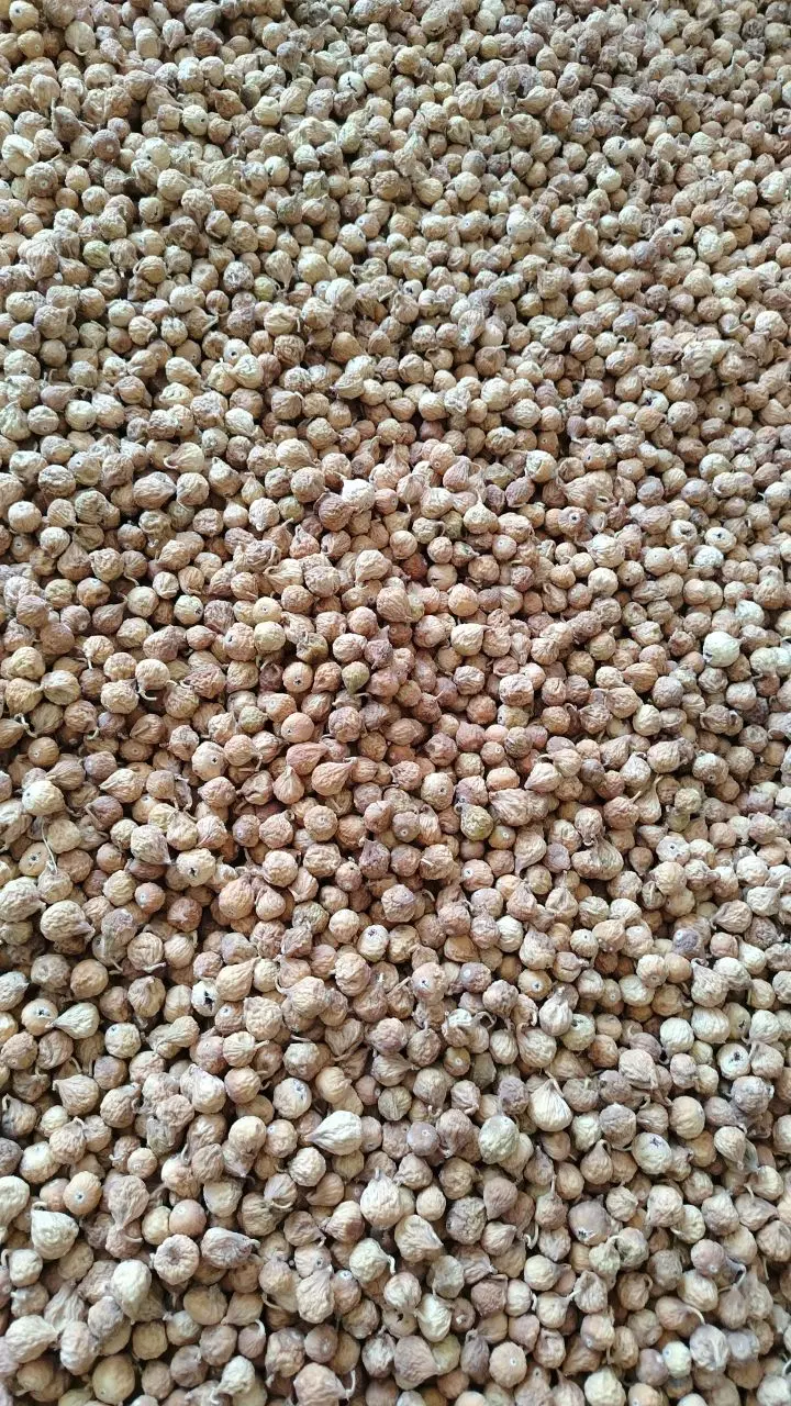 انجیر استهبان محصول امسال|خوردنی و آشامیدنی|تهران, چهارصد دستگاه|دیوار