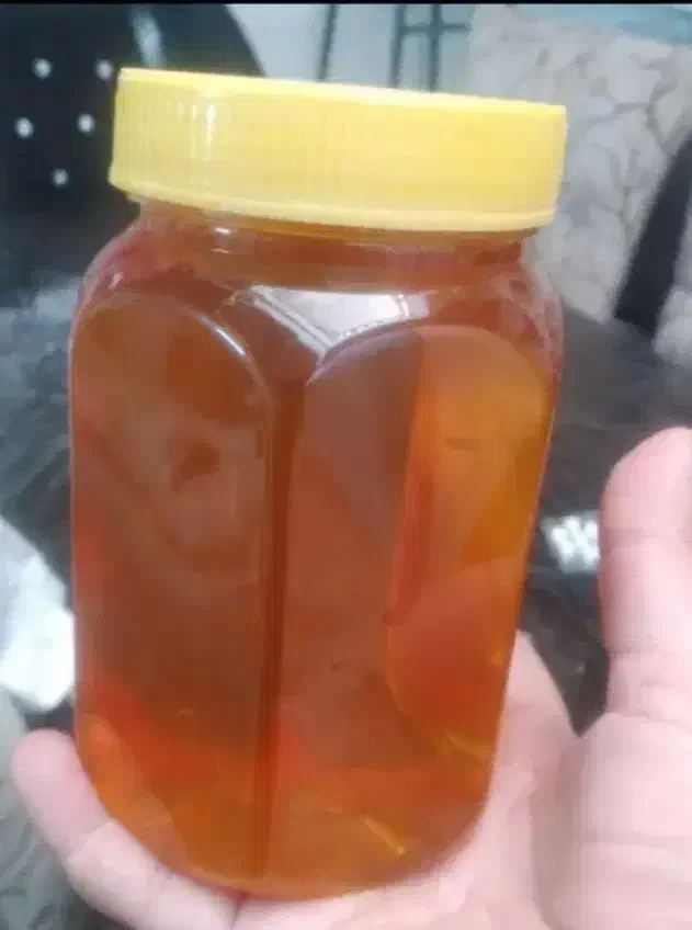 روغن نباتی|خوردنی و آشامیدنی|کوهدشت, |دیوار