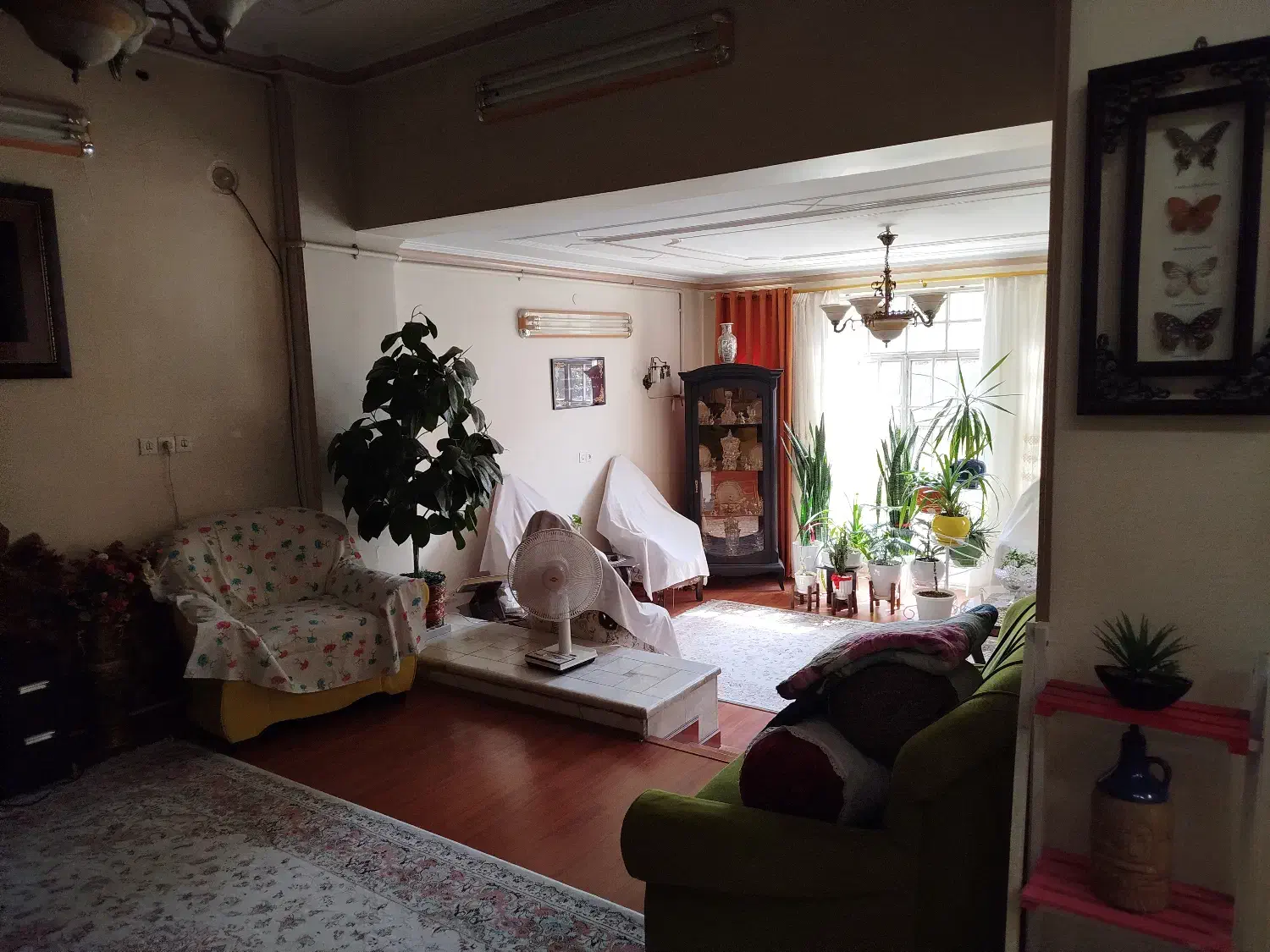 اجاره منزل|اجارهٔ خانه و ویلا|یزد, |دیوار