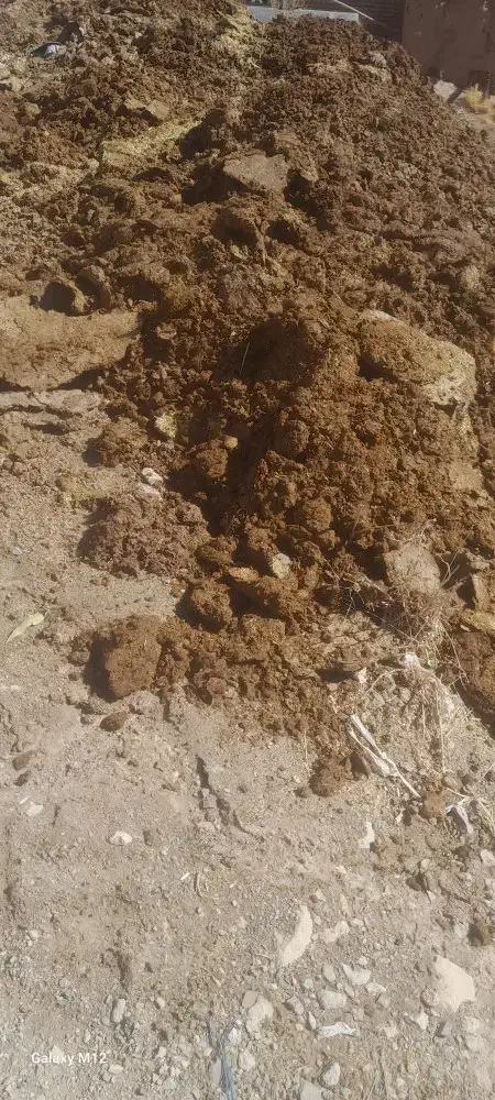 کود حیوانی|لوازم جانبی حیوانات|خاوه, |دیوار