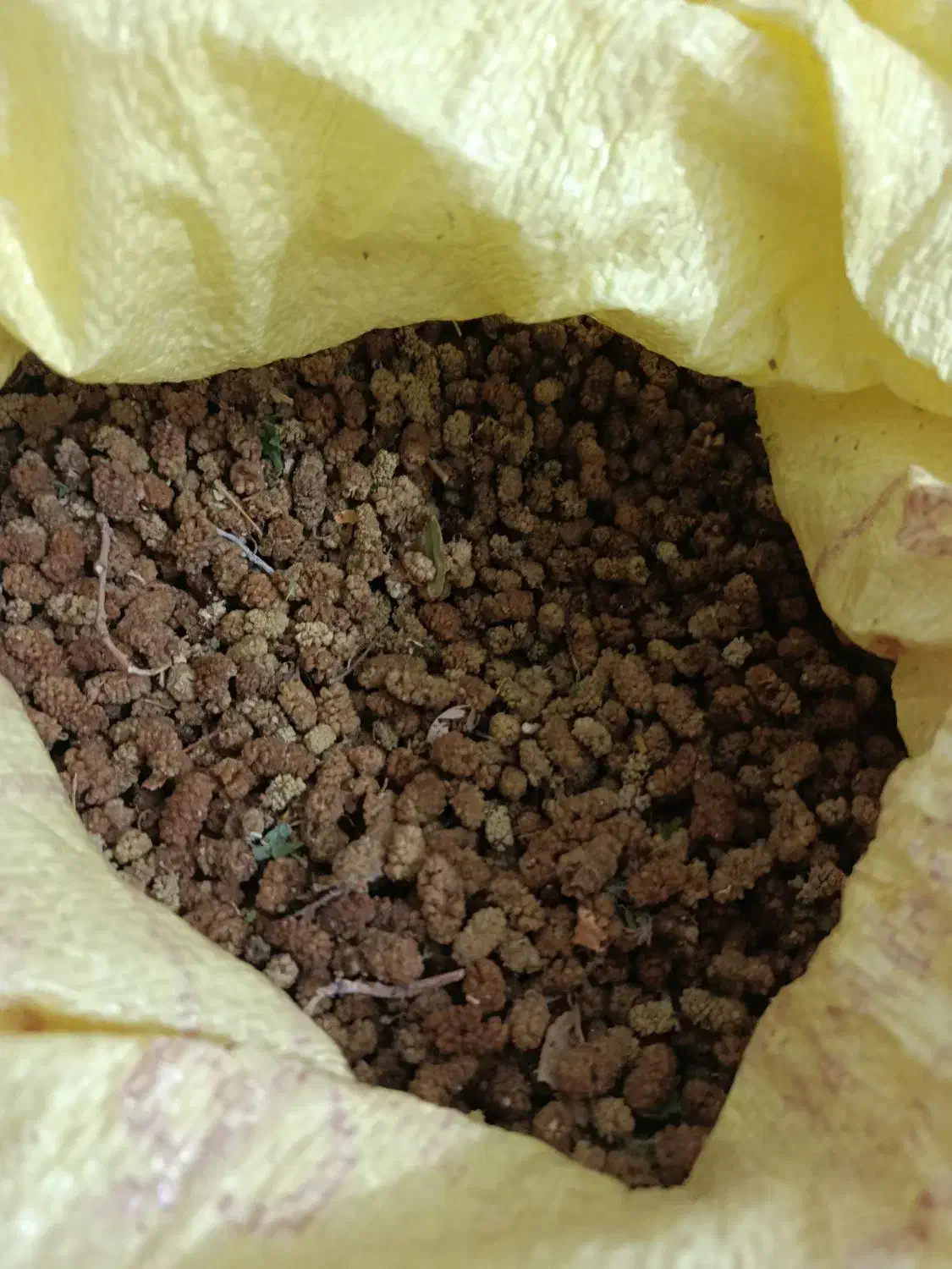 توت خشک گوسفند ی امسالی|عمدهفروشی|حمیدیا, |دیوار