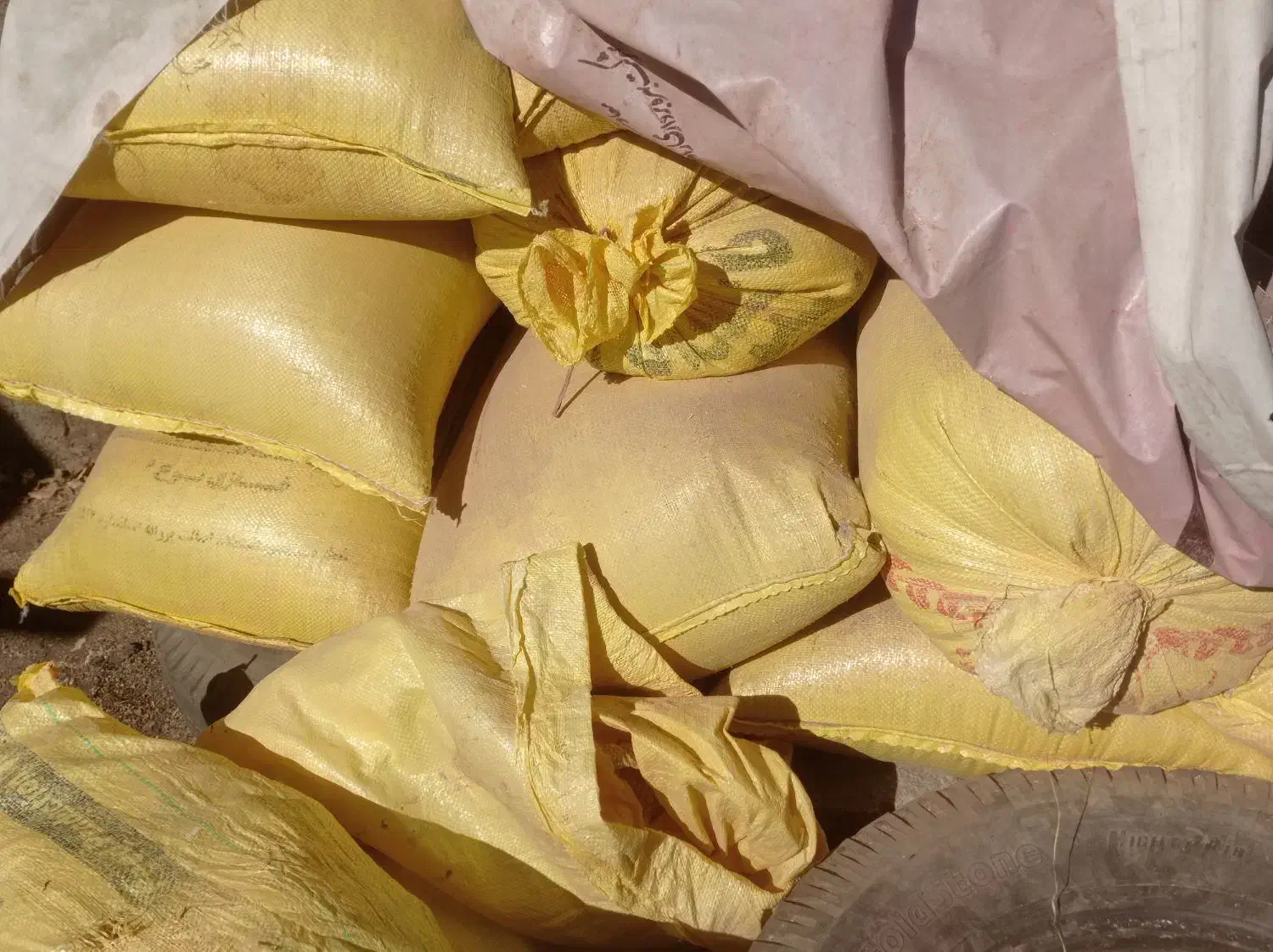 گندم بذر|حراج|بروجرد, |دیوار