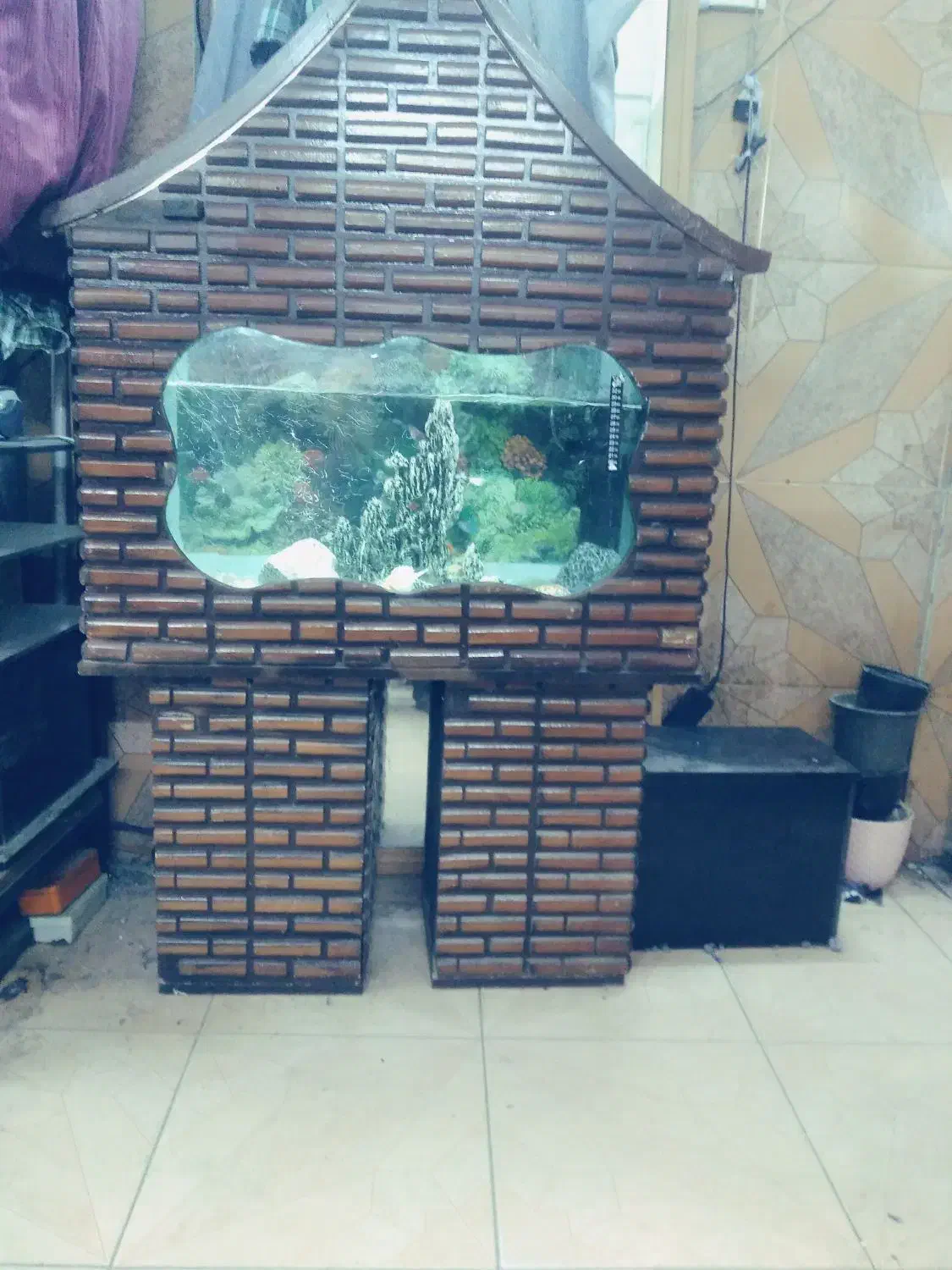 آکواریوم|ماهی|پاکدشت, پاکدشت (مامازند)|دیوار