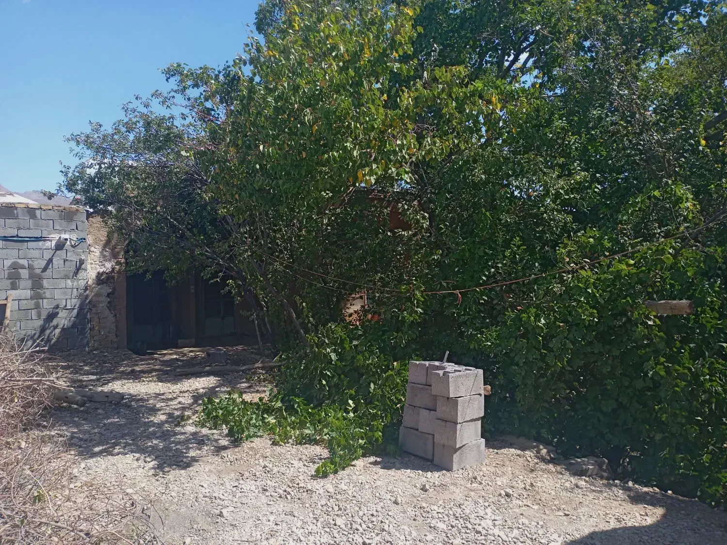 خانه باغ قدیمی نصراباد بعداز تفت واسلامیه|فروش خانه و ویلا|تفت, |دیوار