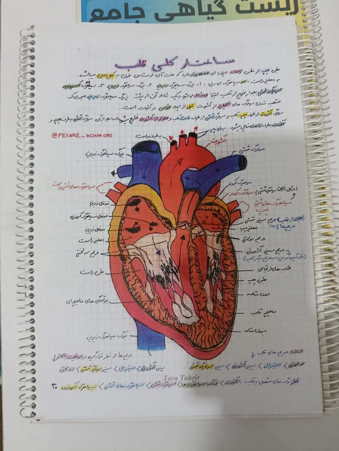 جزوه شیمی زیست رنگی رنگی نهایی کنکور|کتاب و مجله آموزشی|اردبیل, |دیوار