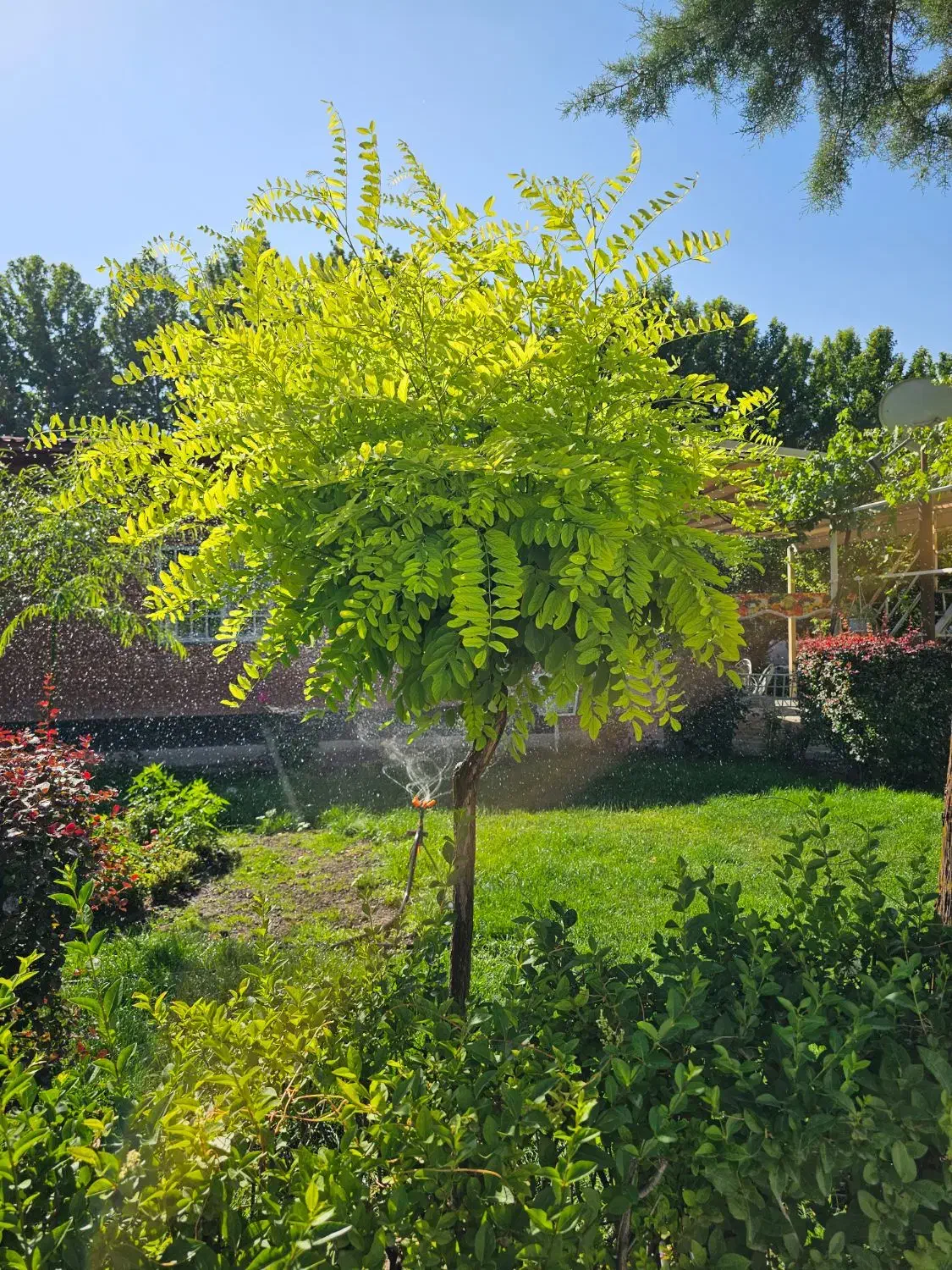 پذیرش یک نفر نیروی کاردائمی مجرد آقا|استخدام سرایداری و نظافت|ارومیه, |دیوار