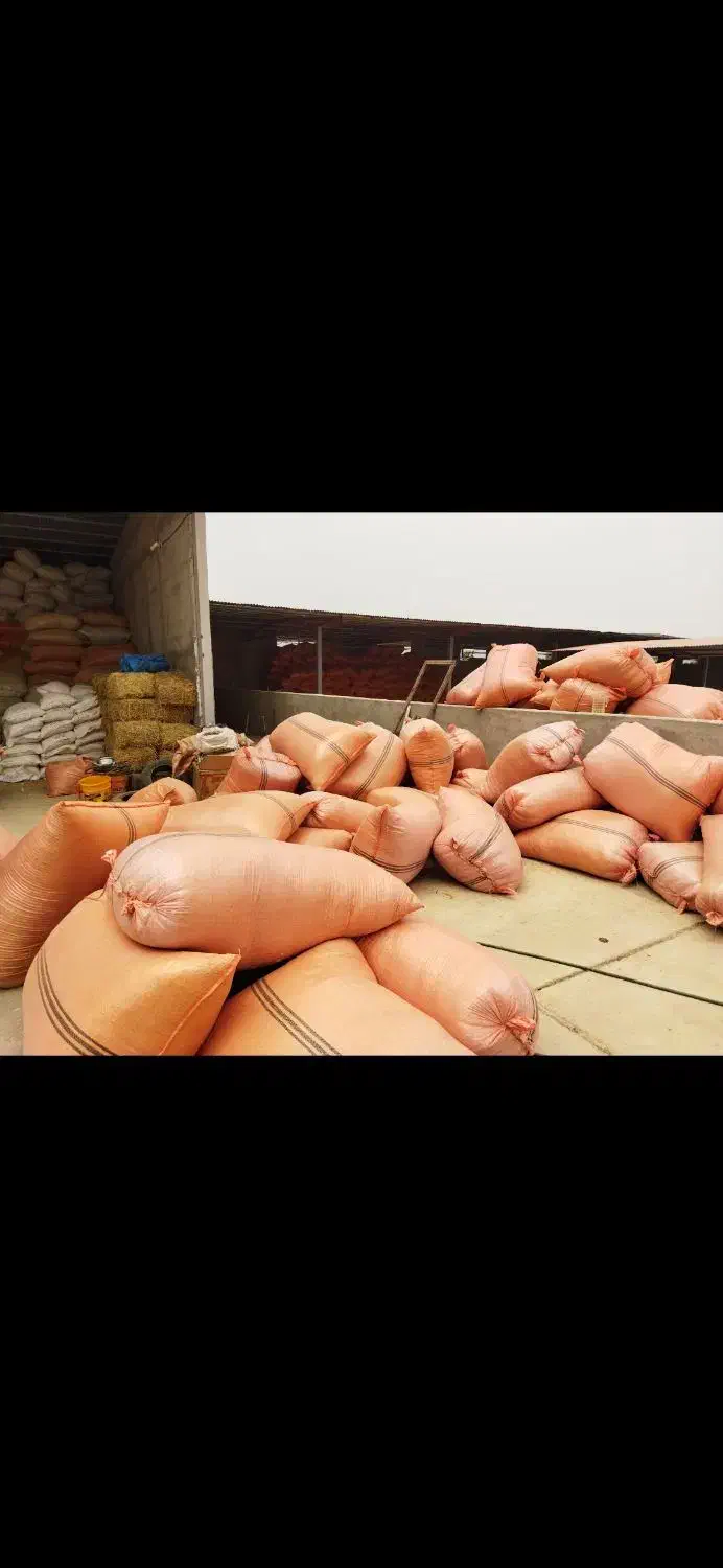 کاه|لوازم جانبی حیوانات|شوشتر, |دیوار