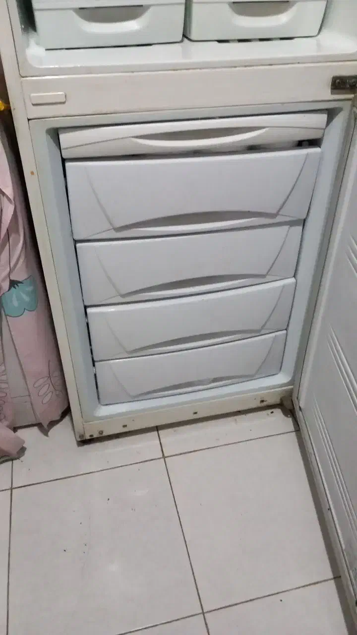 یخچال سالم|یخچال و فریزر|مشهد, انقلاب|دیوار