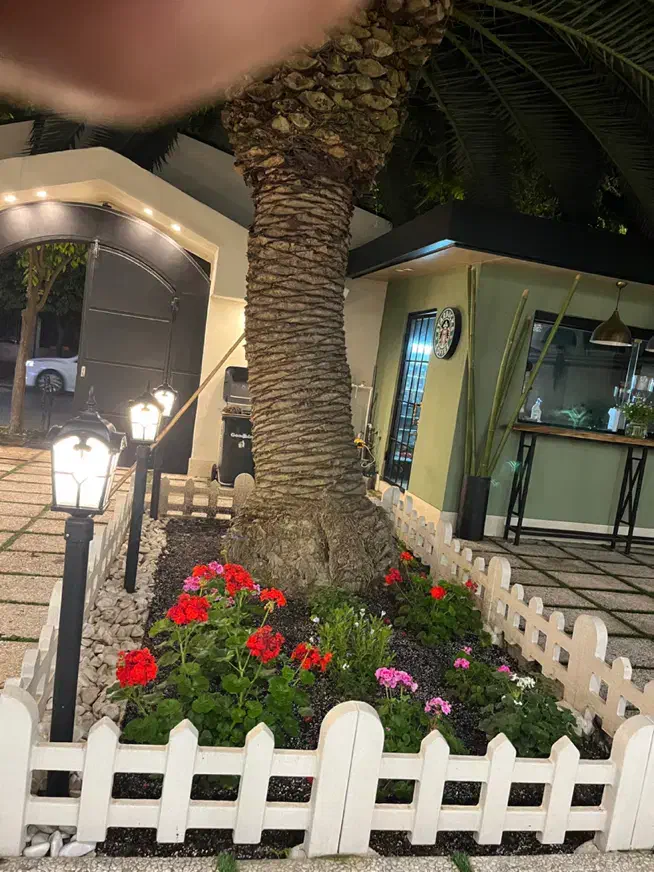 هرس و علف تراشی کلتیواتور|خدمات باغبانی و درختکاری|ساری, |دیوار