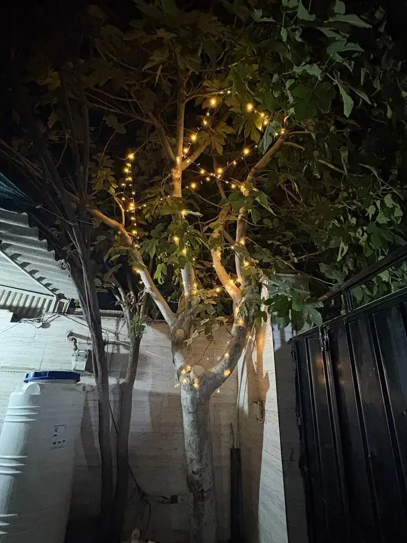 اجاره روزانه خانه|اجارهٔ کوتاه‌مدت آپارتمان و سوئیت|کرج, آق تپه|دیوار