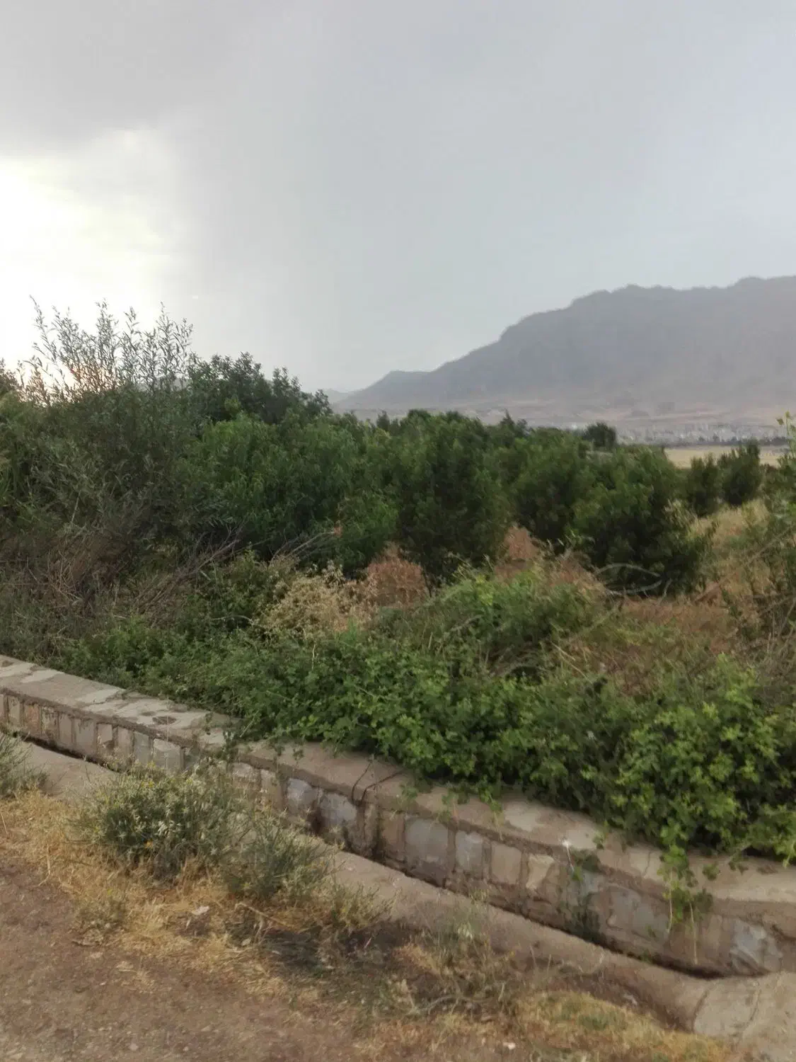 دمپایی پیدا شده|کیف، کفش، کمربند|نورآباد, |دیوار