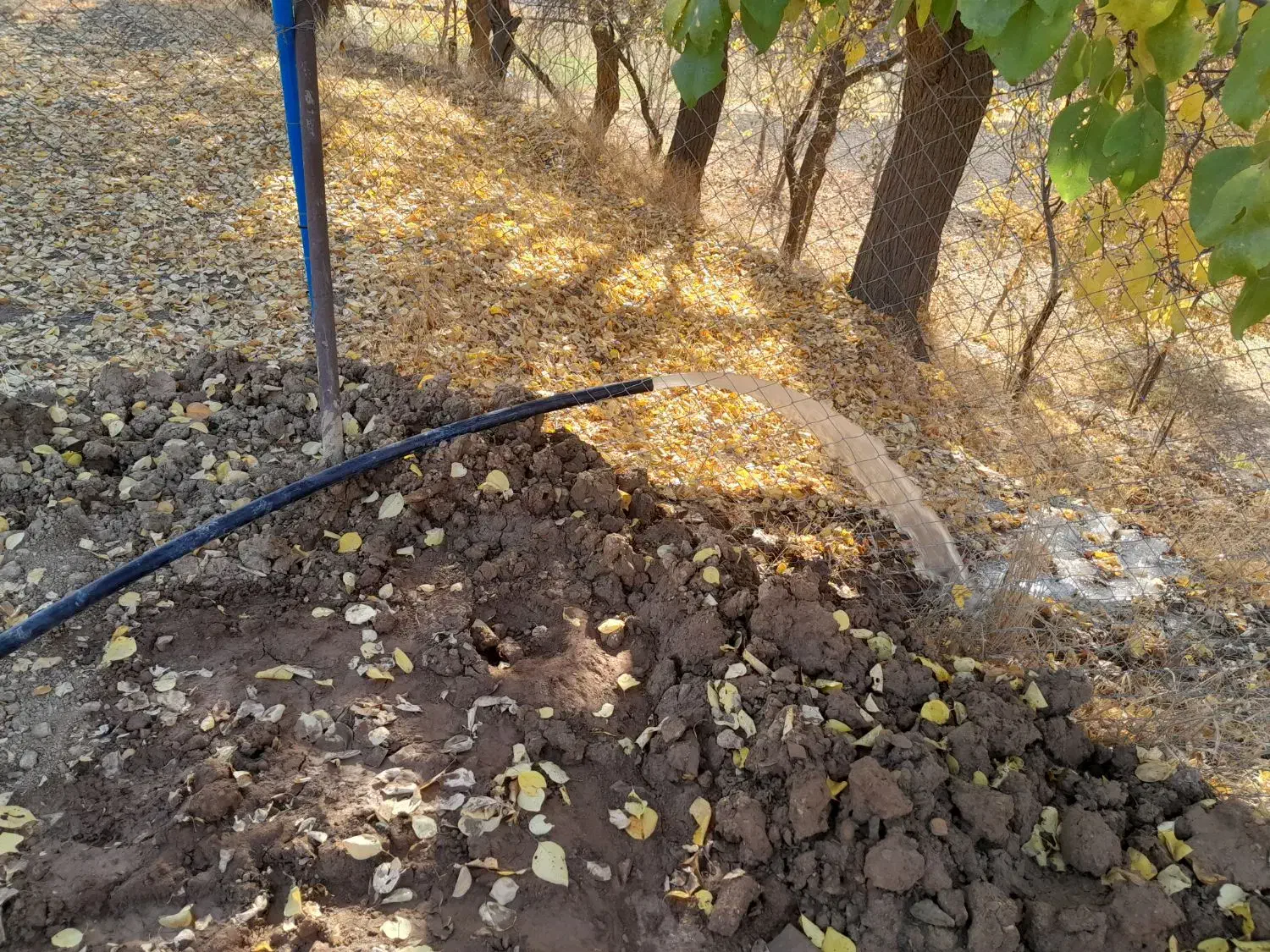 حفار چاه آب با سابقه بالا بانازلترین قیمت بیرقمشکن|خدمات پیشه و مهارت|سنندج, |دیوار