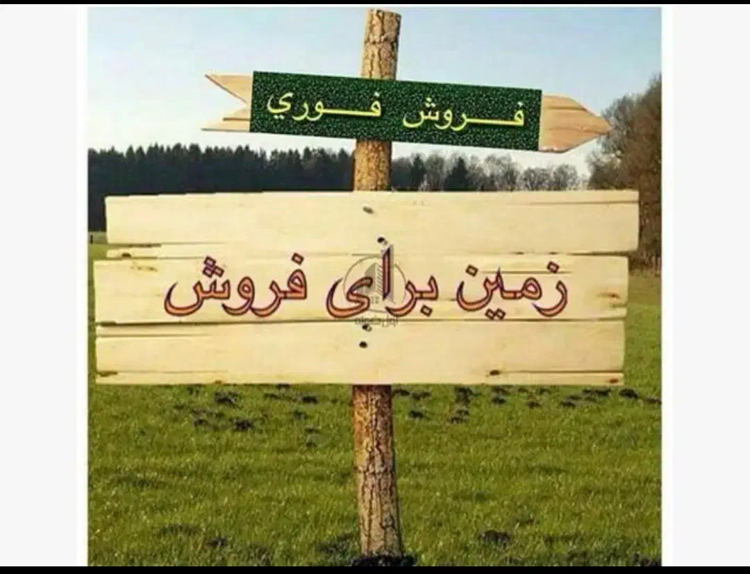 فروش زمین قدوسی غربی|فروش زمین و ملک کلنگی|شیراز, کوی قضات|دیوار