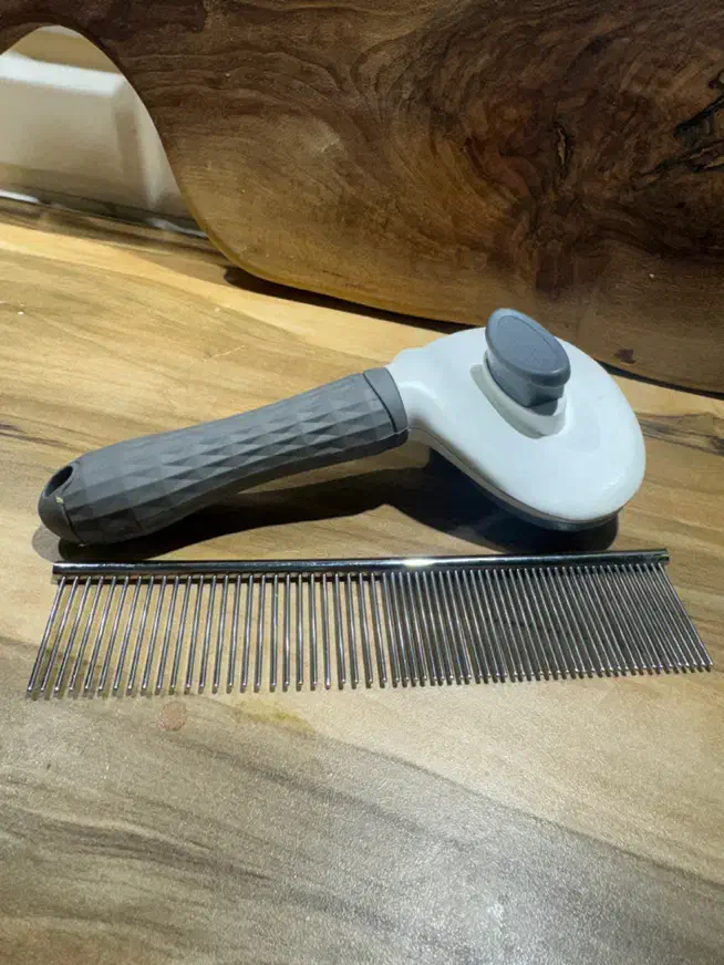 تمامی ظرفهای گربه از جمله استیل وبرس.نو زیرقیمت۷۰۰|لوازم جانبی حیوانات|تهران, امیریه|دیوار