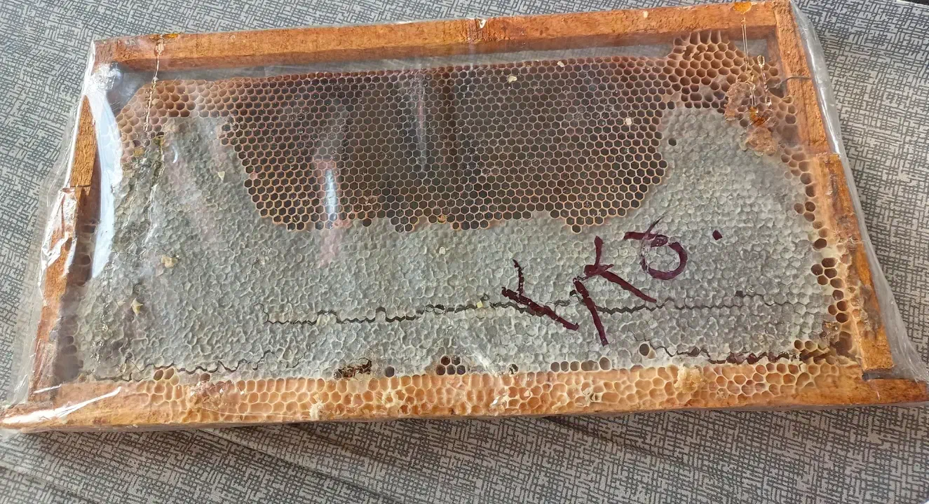 عسل + موم ( طبیعی )|خوردنی و آشامیدنی|حمیدیا, |دیوار