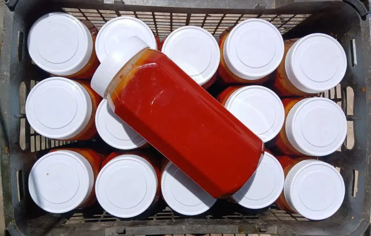 خرما بدون هسته|حراج|شاهین‌شهر, حاجی آباد|دیوار