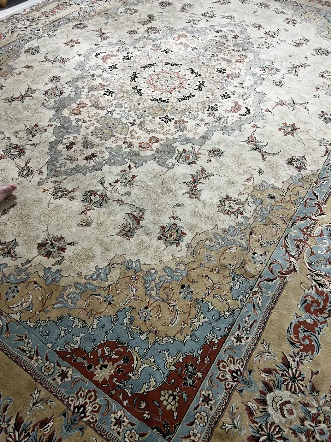 فرش ۱۲ متری|فرش|آمل, |دیوار