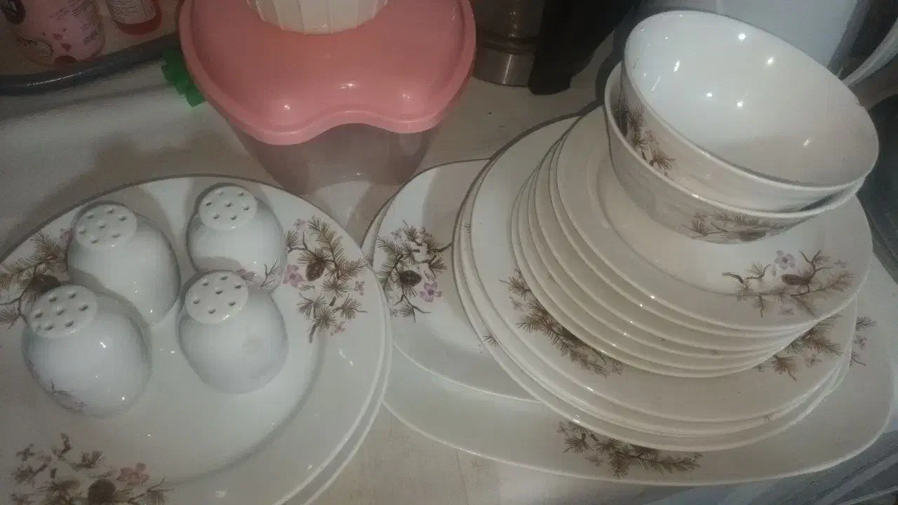 سرویس چینی|ظروف سرو و پذیرایی|قم, باغ کرباسی|دیوار