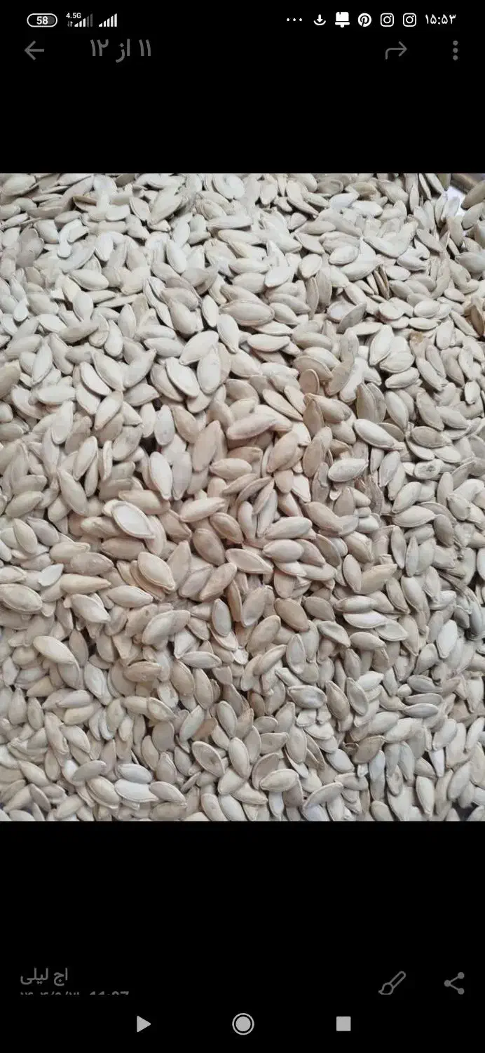 تخمه کدو تمیز و پر مغز|حراج|گرگان, |دیوار