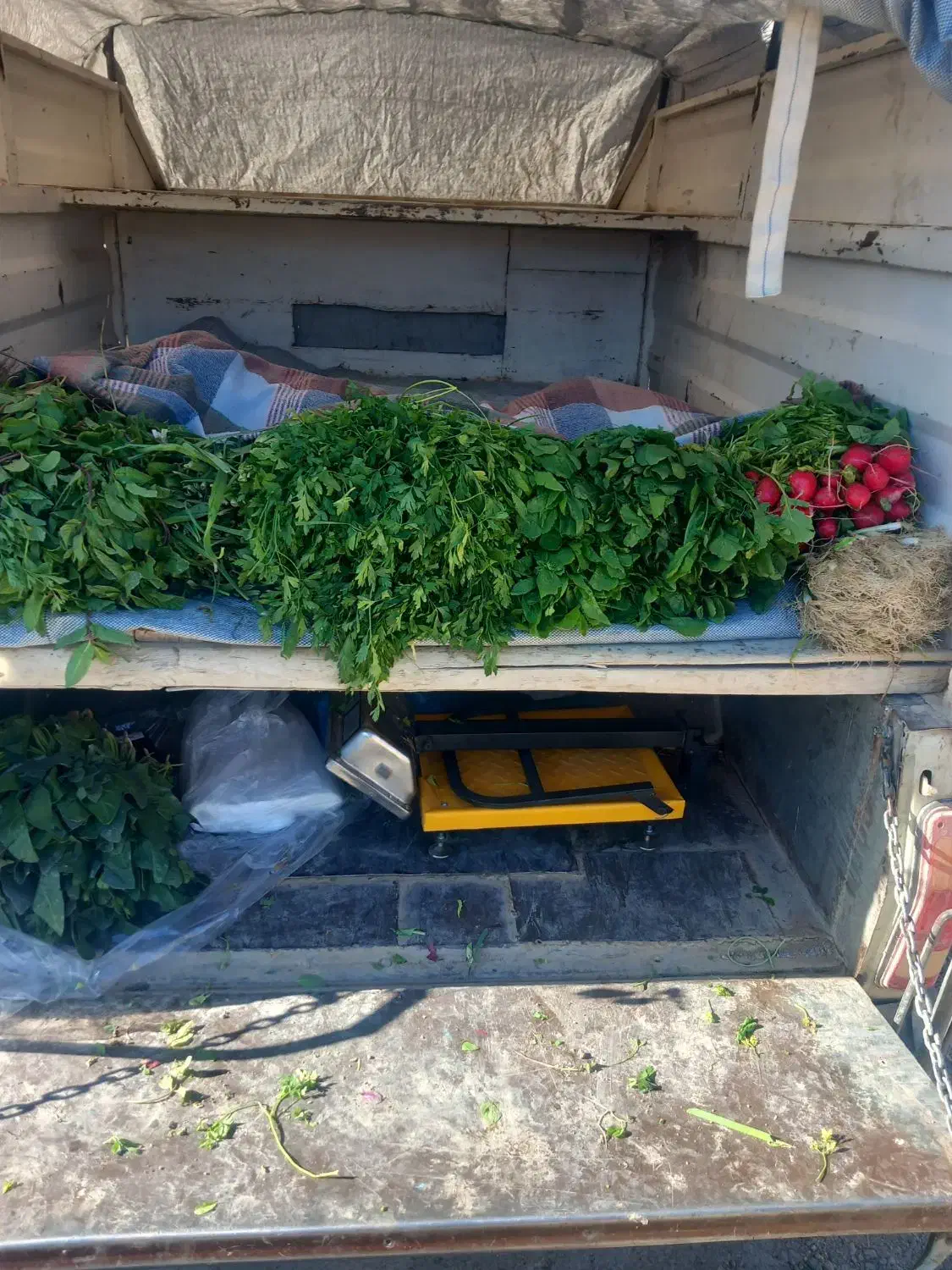 سبزی خورشتی خوزستان|خوردنی و آشامیدنی|گندمان, |دیوار