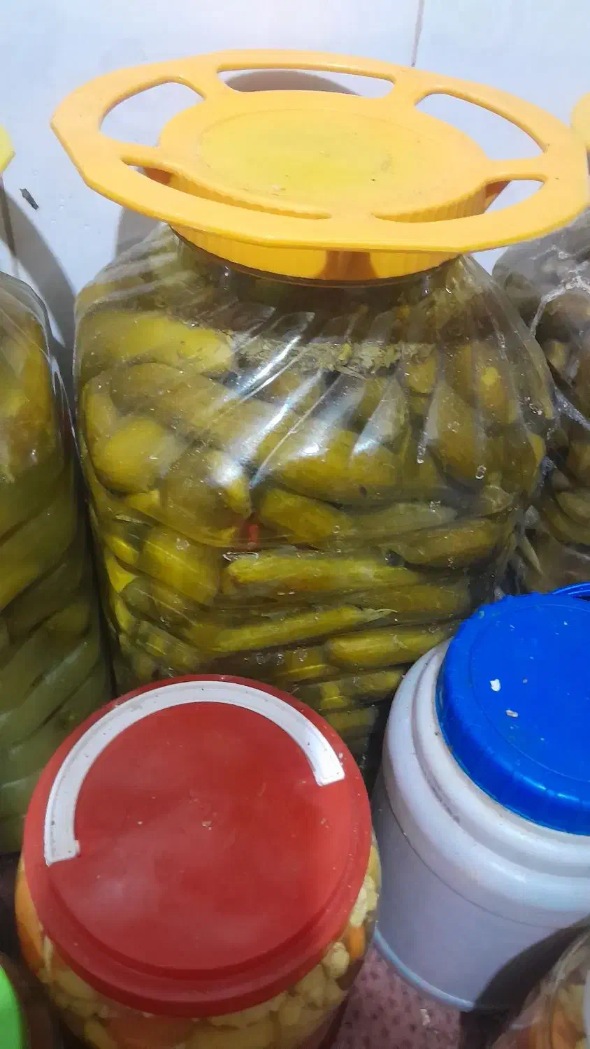 ترشی مخلوط و خیار شور|خوردنی و آشامیدنی|شیراز, بالا کفت|دیوار