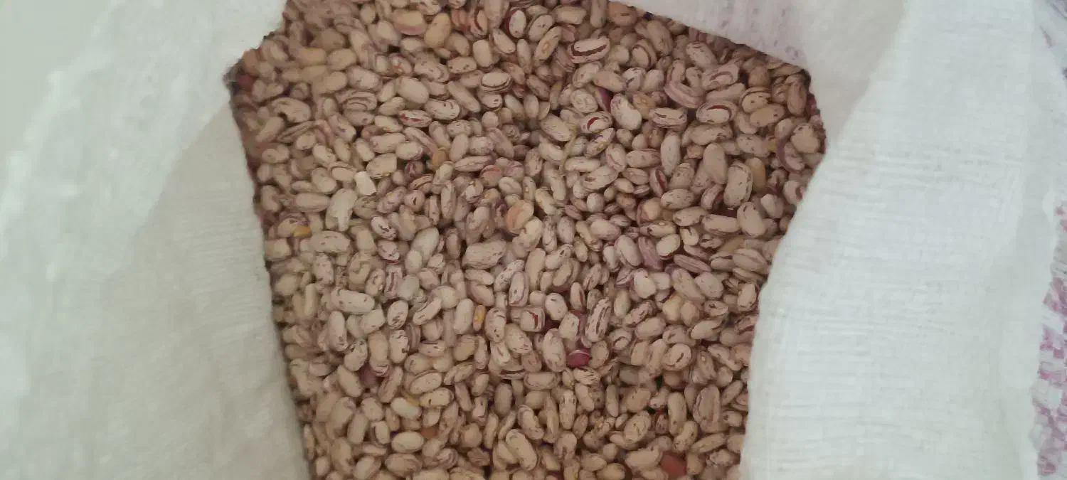 لوبیا چیتی درجه۱ شیراز|خوردنی و آشامیدنی|میاندوآب, |دیوار