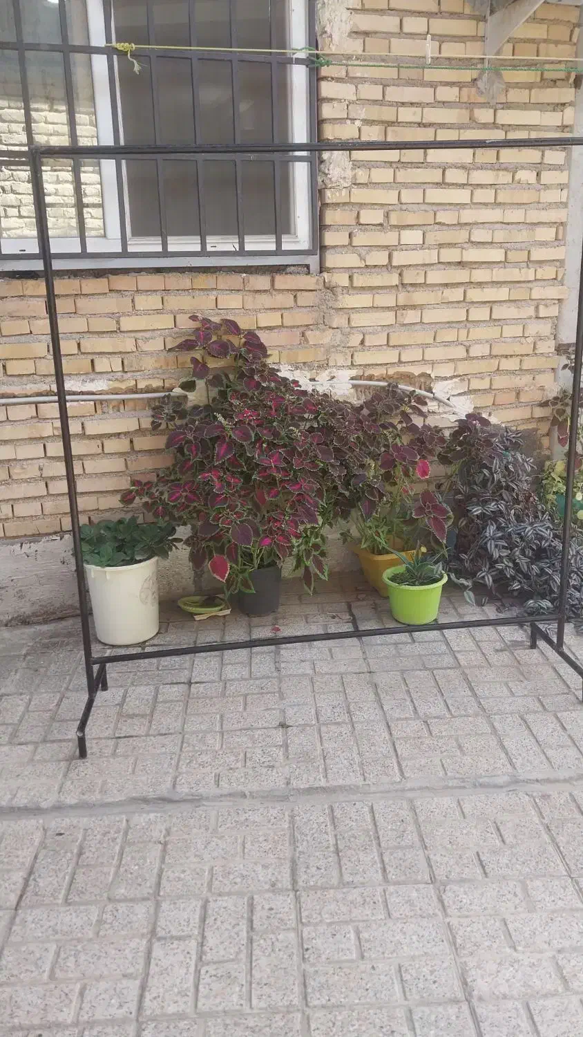 رگال اهنی لباس|بندرخت و رخت‌آویز|کلاله, |دیوار
