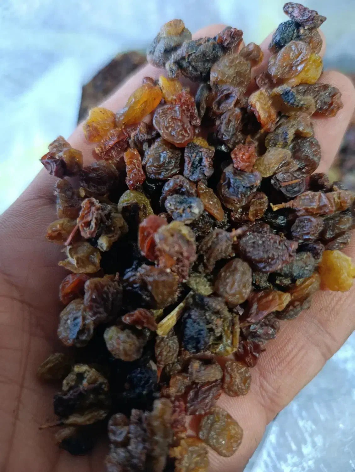 کشمش ابگیری|خوردنی و آشامیدنی|ملایر, |دیوار