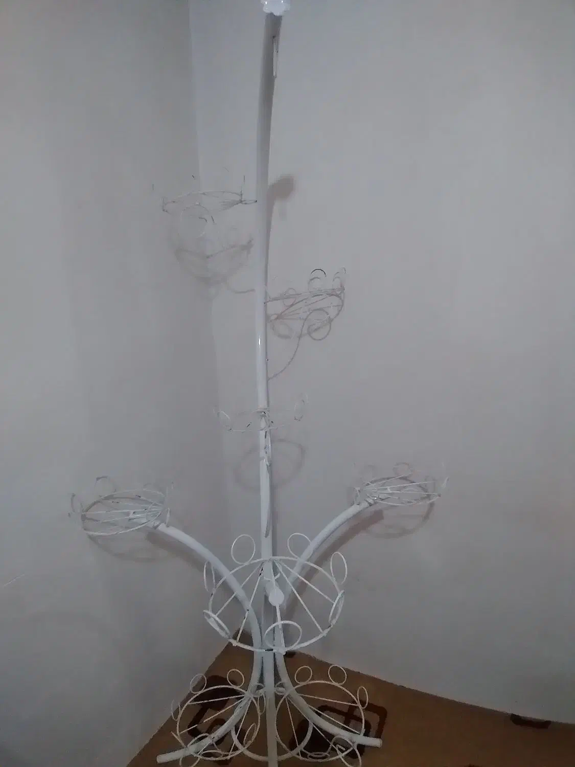 استند گل|گل و گیاه طبیعی|میاندوآب, |دیوار