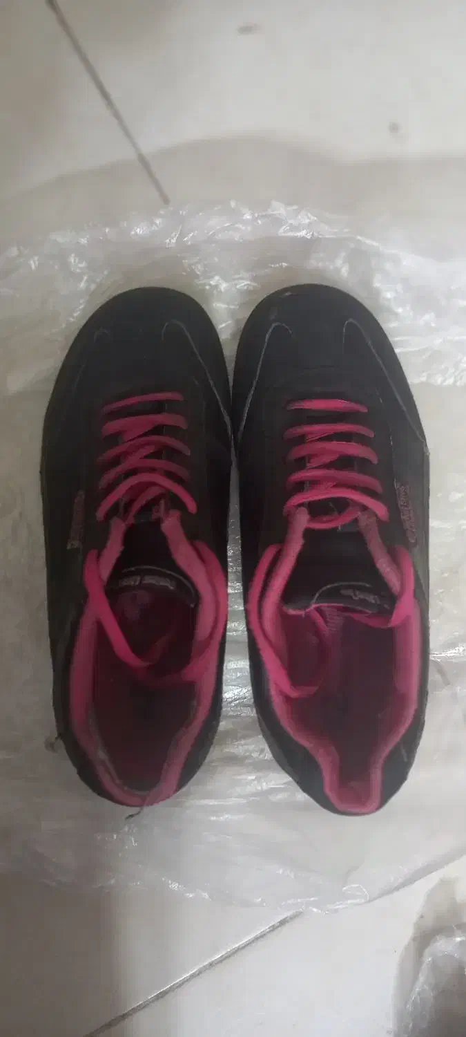 کفش|کیف، کفش، کمربند|اصفهان, گلزار|دیوار