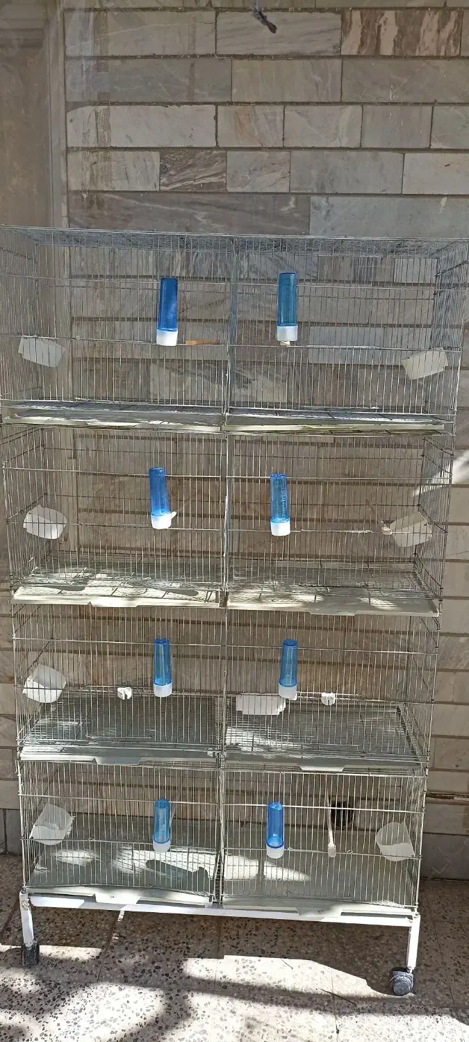 قفس هشت خان تا شو در حد نو|لوازم جانبی حیوانات|سامان, |دیوار