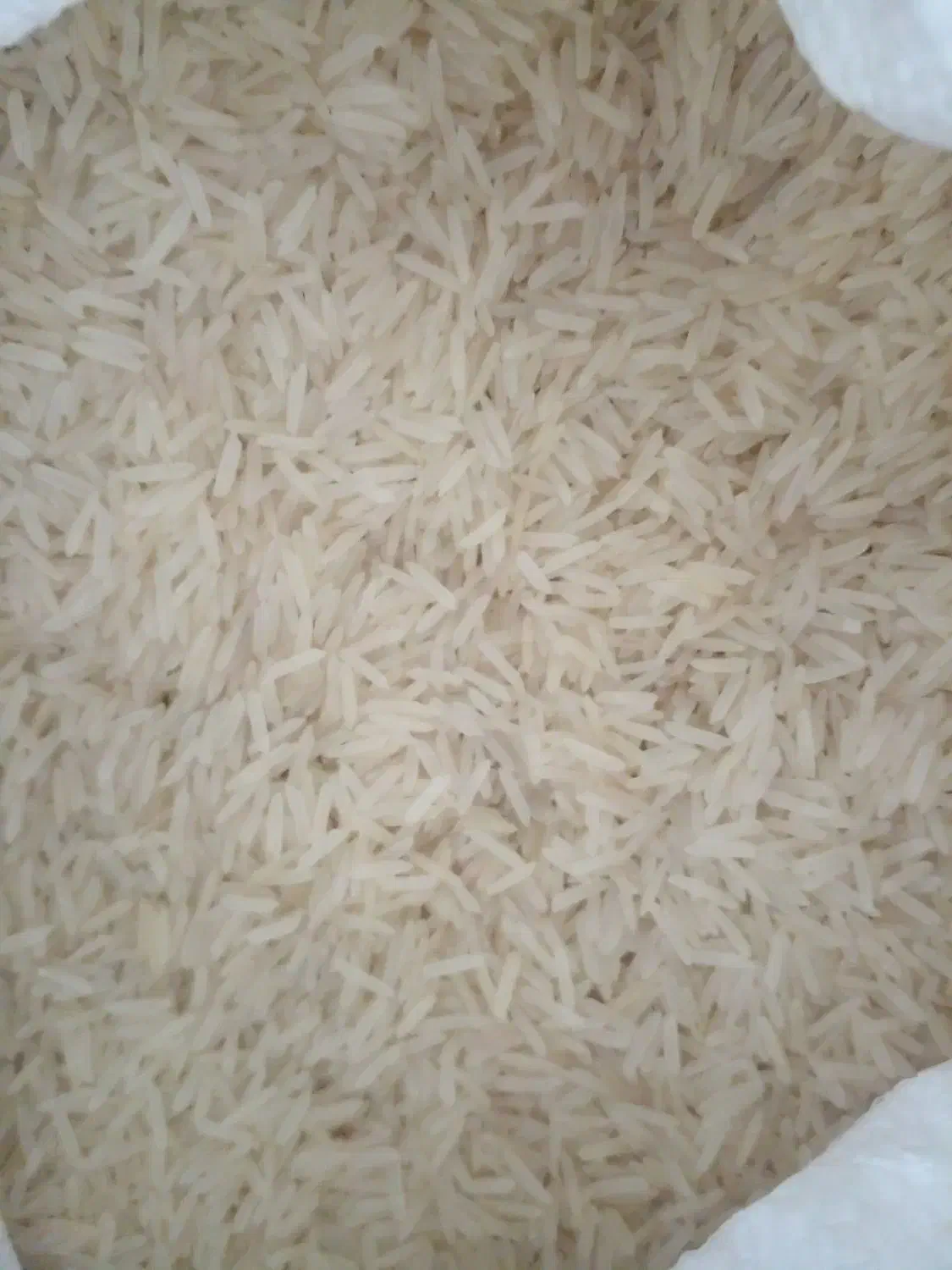 برنج جی تی سی هندی|خوردنی و آشامیدنی|قم, قلعه کامکار|دیوار