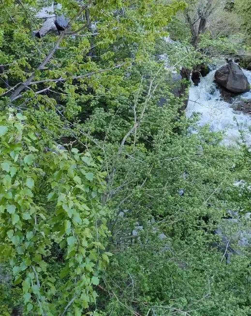 راهنمایی  کار|فعالیت داوطلبانه|ایلام, |دیوار