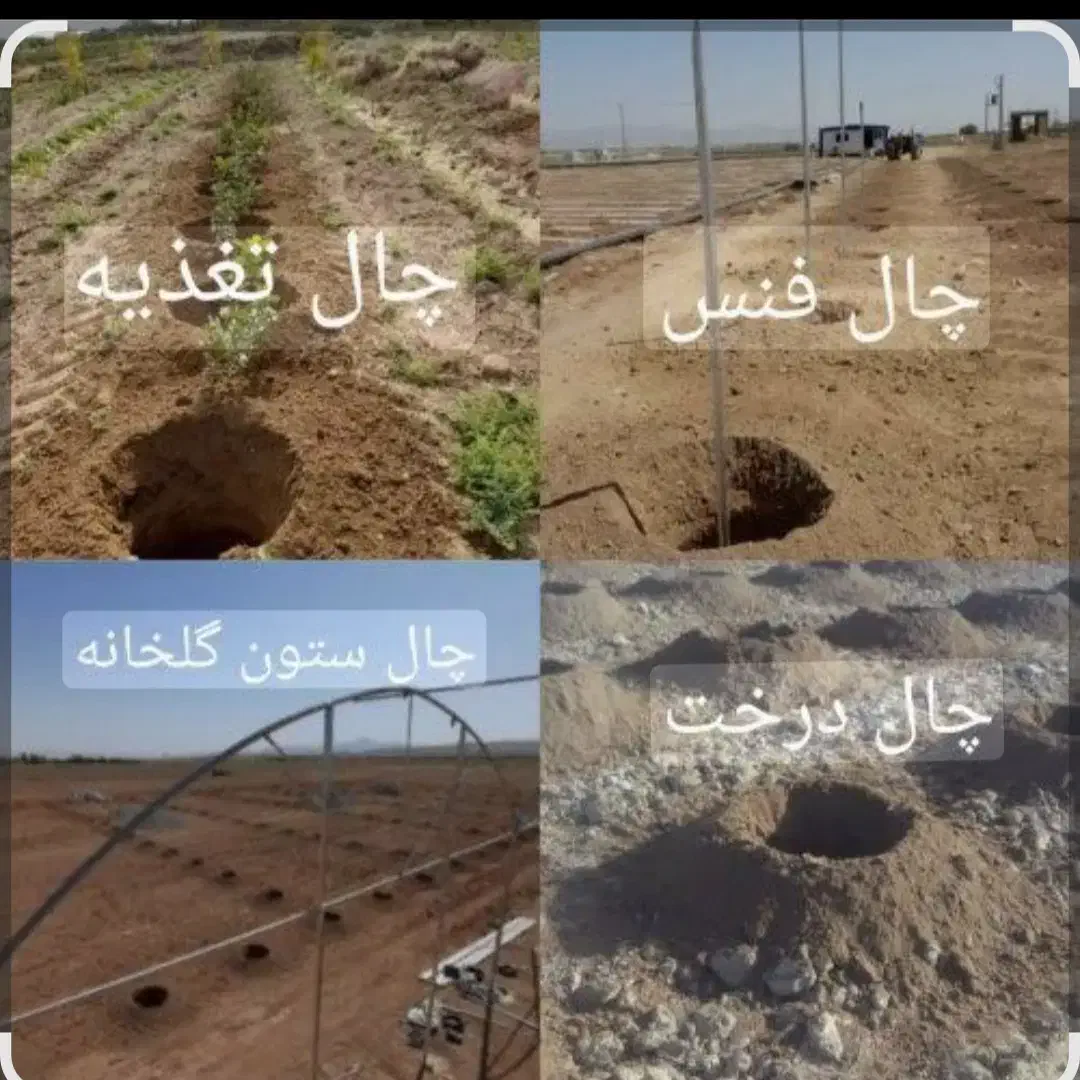 کندن چاله درخت بامته تراکتوری|خدمات باغبانی و درختکاری|گلپایگان, |دیوار