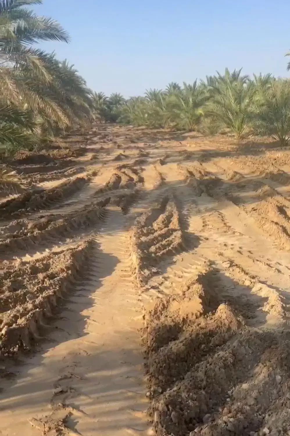 کار  اجاره لودر  تا بمپور و اطراف|خدمات پیشه و مهارت|ایرانشهر, |دیوار