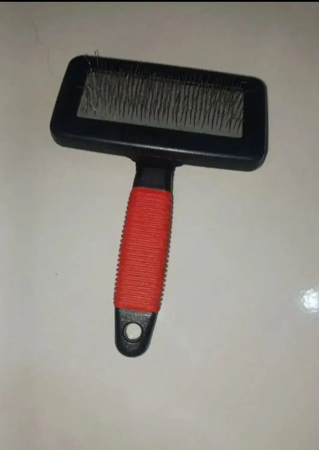 برس سگ|لوازم جانبی حیوانات|رشت, نظری|دیوار