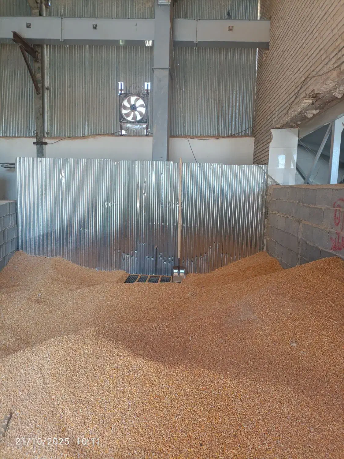 نیروی تولید|استخدام صنعتی، فنی، مهندسی|بیضا, |دیوار