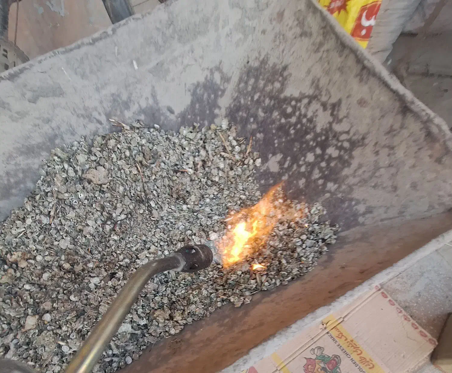 کود‌..زل‌کبوتر|خدمات باغبانی و درختکاری|پیر بکران, |دیوار