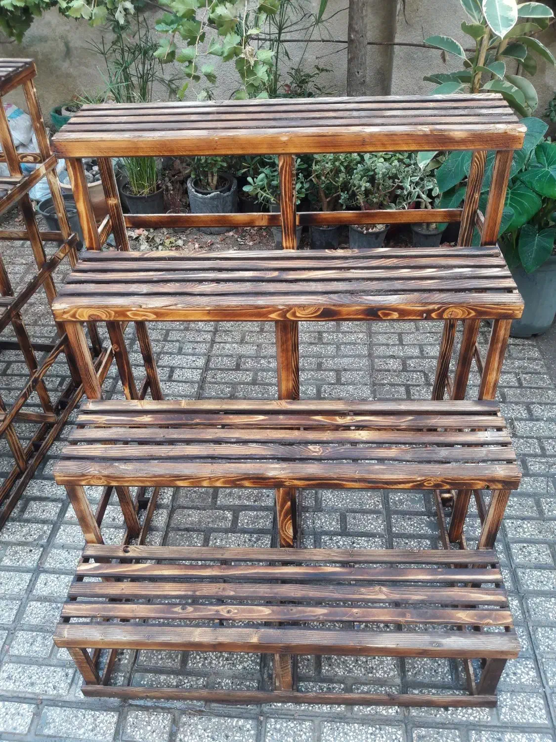 پایه گلدان|گل و گیاه طبیعی|مشهد, گلبرگ|دیوار