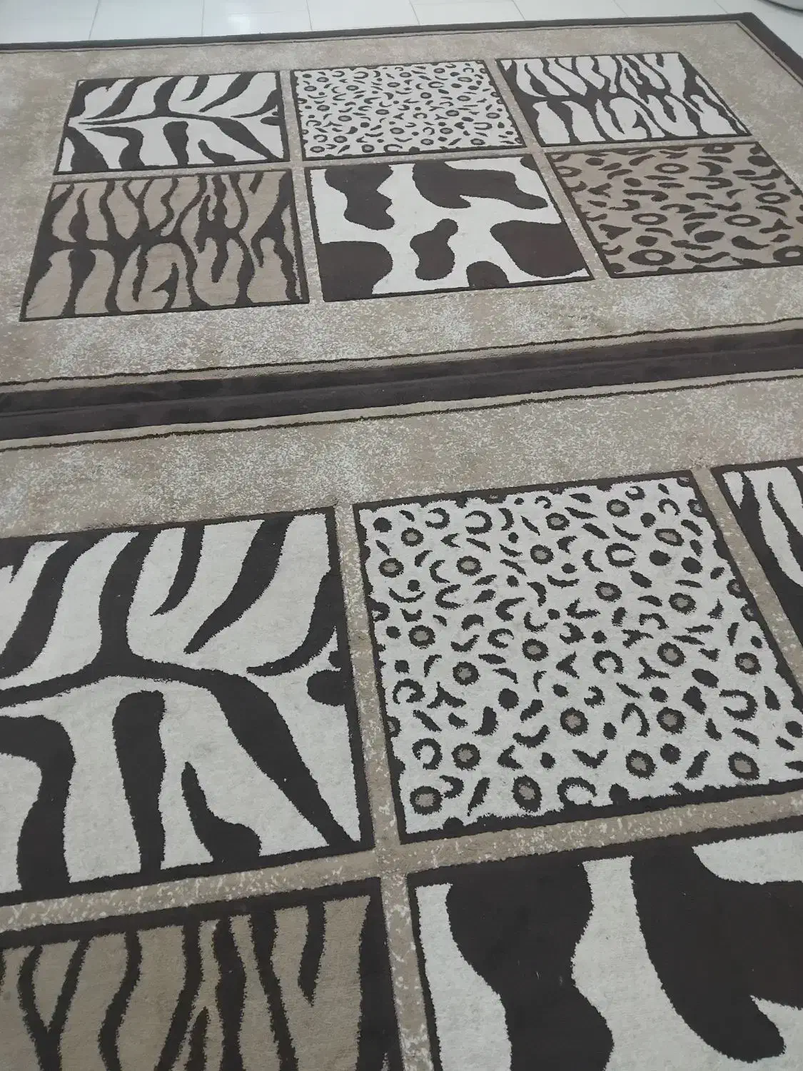 فرش ۶ متری|فرش|تهران, منیریه|دیوار