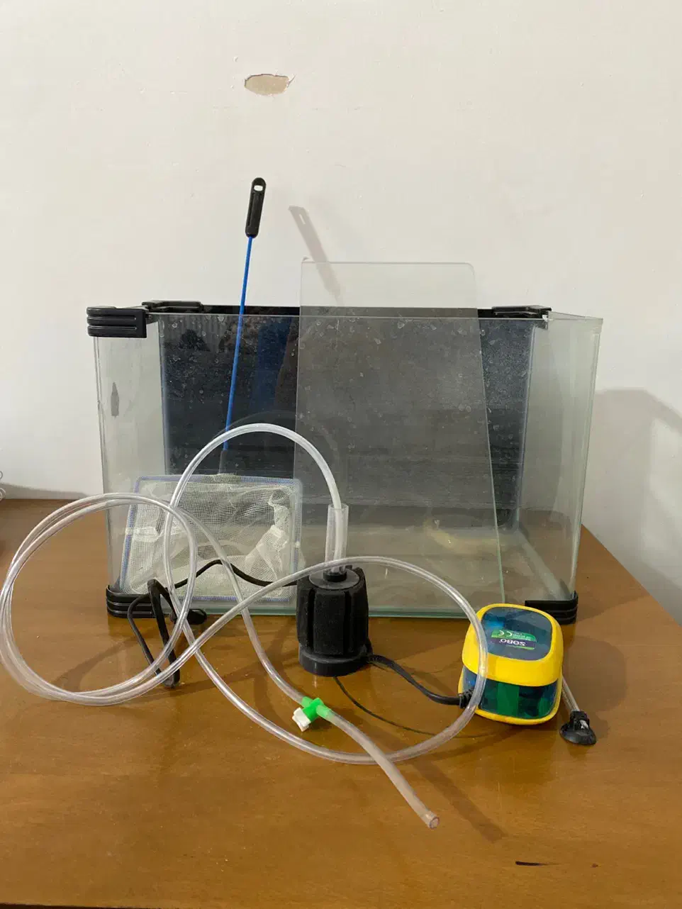 آکواریوم و لوازم|ماهی|زاهدان, |دیوار