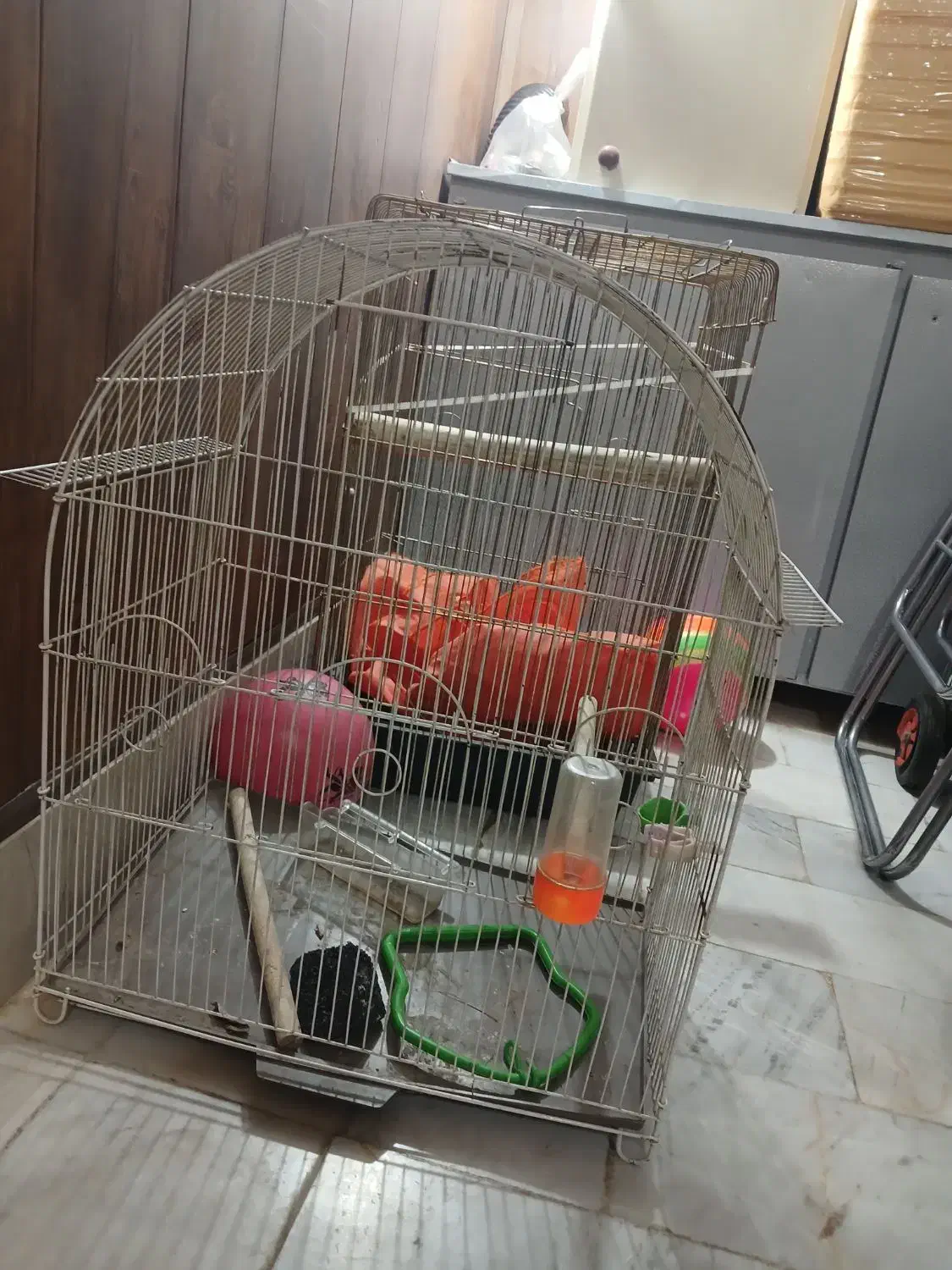 قفس پرنده عروس هلندی|لوازم جانبی حیوانات|کرمانشاه, |دیوار