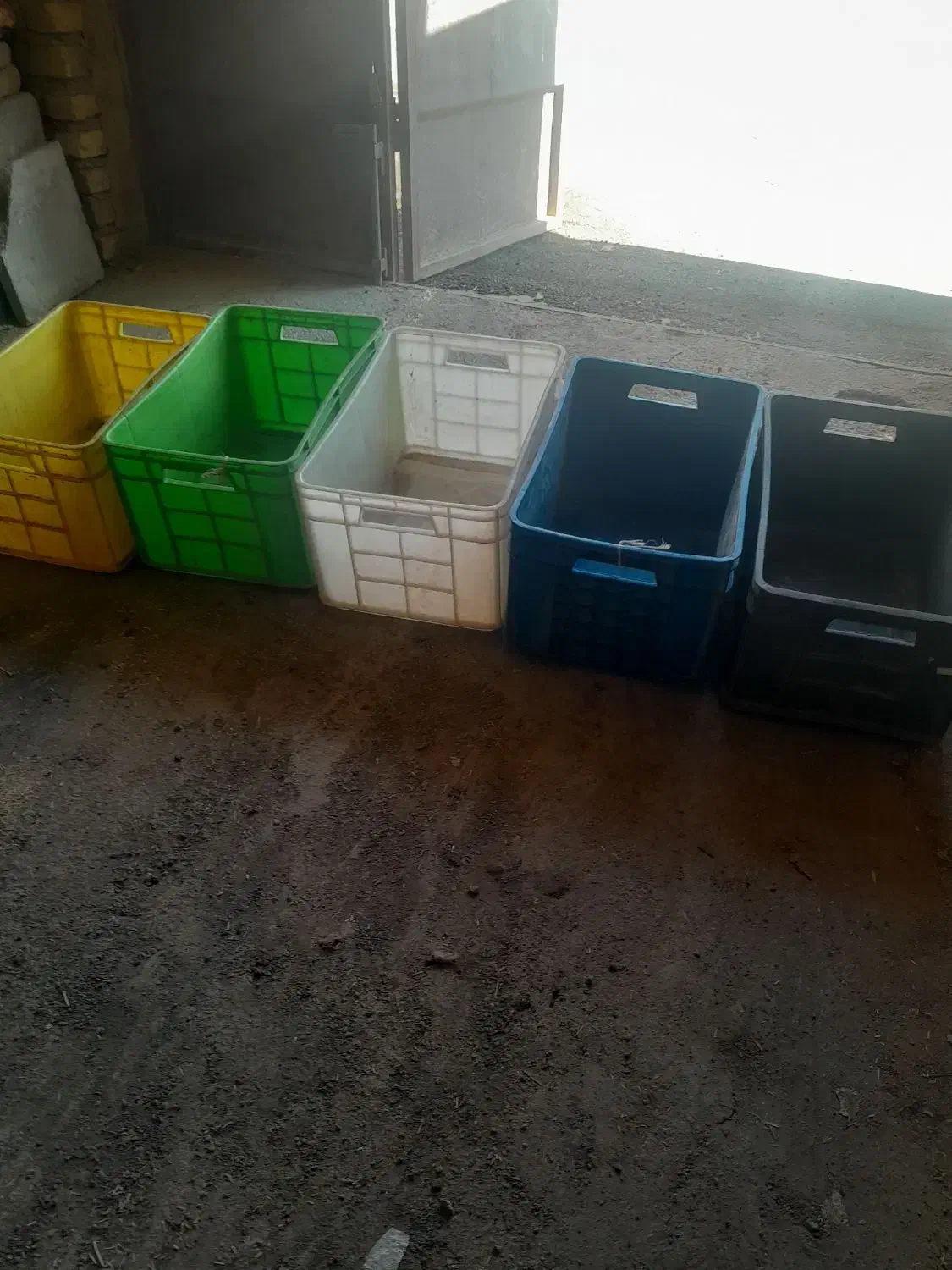 سبد|ظروف نگهدارنده، پلاستیکی، یک‌بارمصرف|داران, |دیوار