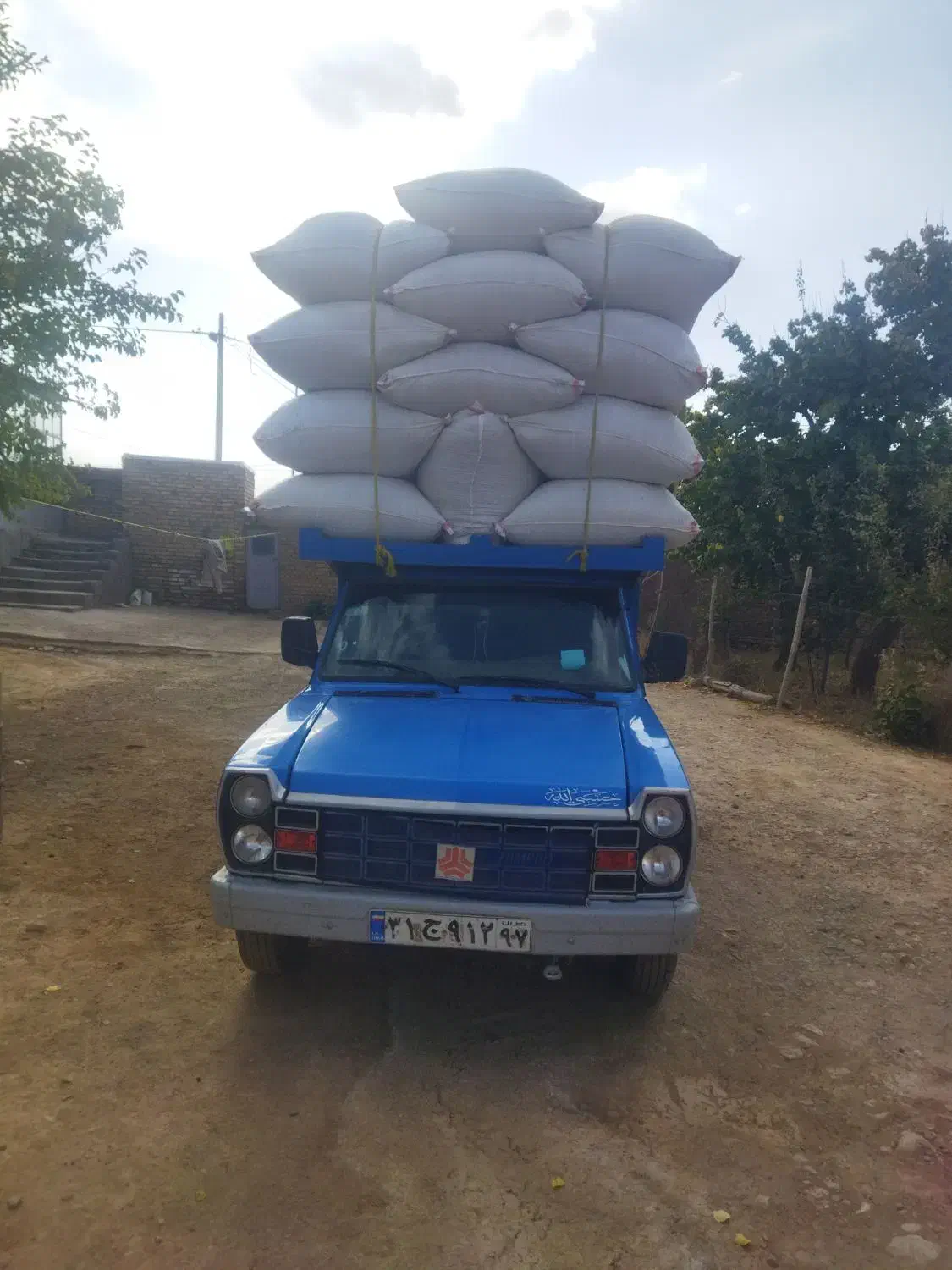 کاه گندم گوسفندی|لوازم جانبی حیوانات|محمدشهر, محمدشهر|دیوار